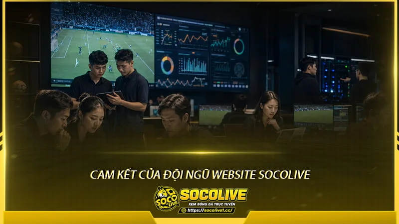 Cam kết của đội ngũ Website Socolive