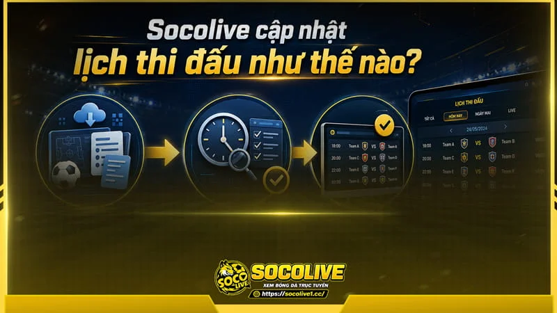 Socolivetv xây dựng hệ thống cập nhật dữ liệu lịch thi đấu theo thời gian thực