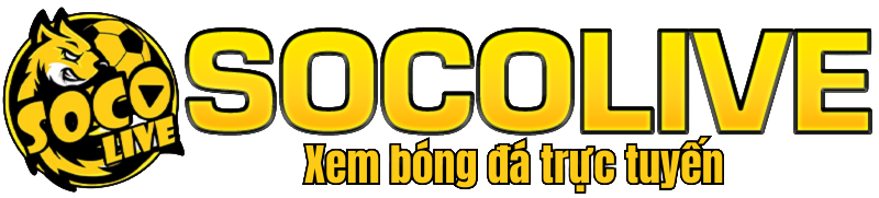 socolivenp.top